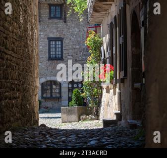 Villaggio medievale di Perouges in Alvernia dove furono girate le registrazioni dei tre moschettieri., Francia. fotografia vvbvanbree Foto Stock