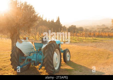 Vigneto con trattore. L'agricoltura in azione. Il paesaggio agricolo mostra la bellezza rurale. Le uve di vite indicano la vendemmia autunnale. La natura incontra i macchinari a bottone Foto Stock