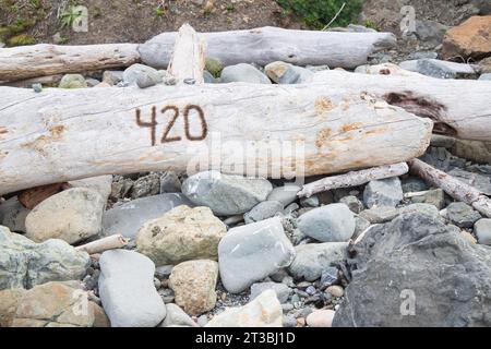 Un pezzo di strada sulla riva all'Harris Beach State Park a Brookings, Oregon, con un '420' scolpito in esso. Foto Stock