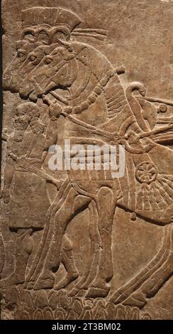 Rilievo murale palazzo Nimrud (Iraq). Impero neo-assiro. 875-860 A.C. Alabastro. Il monarca Ashurnasirpal II in un carro. Cavalli di dettaglio. Esposizione Foto Stock