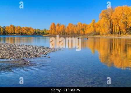 i diportisti e i colori autunnali lungo il fiume flathead a columbia falls, montana Foto Stock