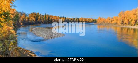 panorama di colori autunnali lungo il fiume flathead a columbia falls, montana Foto Stock