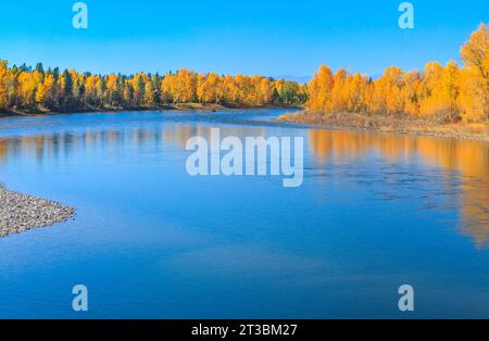 colori autunnali lungo il fiume flathead a columbia falls, montana Foto Stock