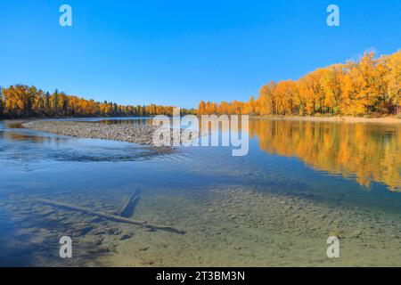 colori autunnali lungo il fiume flathead a columbia falls, montana Foto Stock