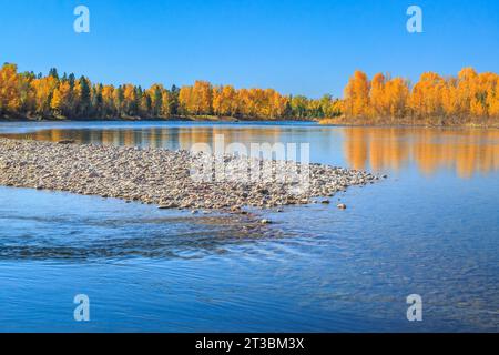 colori autunnali lungo il fiume flathead a columbia falls, montana Foto Stock