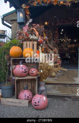 Attraente esposizione all'ingresso del Barn presso il negozio della fattoria Hollies nel Cheshire Foto Stock