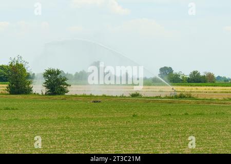 Spruzzare acqua da un sistema di irrigazione su un campo di colture agricole. Affilatura selettiva. Foto Stock