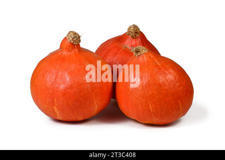 Tre squash "Red Kuri", chiamate anche squash "Hokkaido" su sfondo bianco Foto Stock