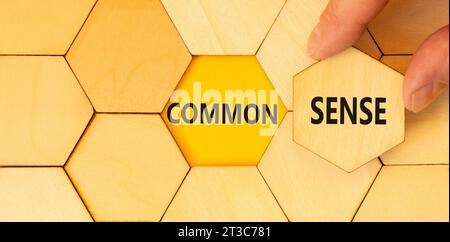 Simbolo di buon senso. Parole concettuali Common Sense su un bellissimo puzzle in legno. Splendido sfondo giallo. Mano d'affari. Affari, comunicazione motivazionale Foto Stock