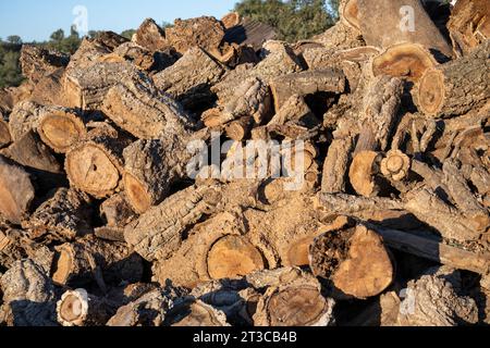 Una pila di tronchi caduti dopo la deforestazione fotografata a Portel, Alentejo, Portogallo Foto Stock