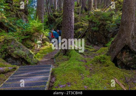 Sentiero che conduce al sito patrimonio dell'umanità dell'UNESCO Sgang Gwaay Llnagaay, alias Ninstints, nella riserva del Parco Nazionale di Gwaii Haanas, Haida Gwaii, British Columbia, Foto Stock