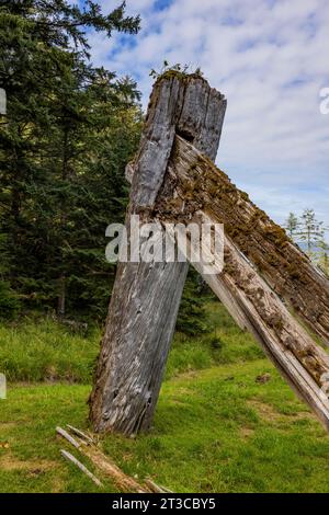 Resti di una dimora solitaria presso Sgang Gwaay Llnagaay, sito patrimonio dell'umanità dell'UNESCO, un antico villaggio situato nella riserva del Parco Nazionale di Gwaii Haanas, Haida Gwaii, B. Foto Stock