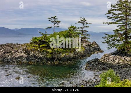 Costa dell'Oceano Pacifico presso Sgang Gwaay Llnagaay, sito patrimonio dell'umanità dell'UNESCO, un antico villaggio sull'isola Anthony, riserva del Parco Nazionale Gwaii Haanas Foto Stock