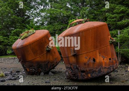 Vecchi e arrugginiti digestori di ossa di balena e blubber lasciati alla vecchia Rose Harbour Whaling Station, nella Gwaii Haanas National Park Reserve, Haida GWA Foto Stock