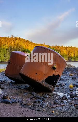 Vecchi e arrugginiti digestori di ossa di balena e blubber lasciati alla vecchia Rose Harbour Whaling Station, nella Gwaii Haanas National Park Reserve, Haida GWA Foto Stock