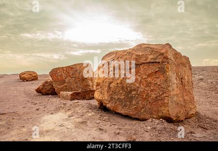 Grandi pietre nel Makhtesh Ramon, cratere di erosione, deserto del Negev, Israele Foto Stock