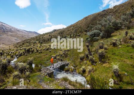 Escursionista in alta montagna in Colombia, Sud America Foto Stock