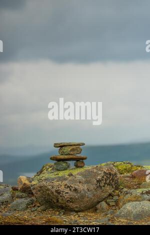 Torre di pietra, Dovrefjell, Oppdal, Trondelag, Norvegia Foto Stock