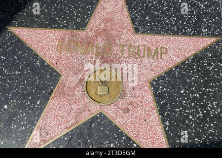 Hollywood, California, USA 17 ottobre 2023 Donald Trump Hollywood Walk of Fame Star il 17 ottobre 2023 a Hollywood, California, USA. Foto di Barry King/Alamy Stock Photo Foto Stock