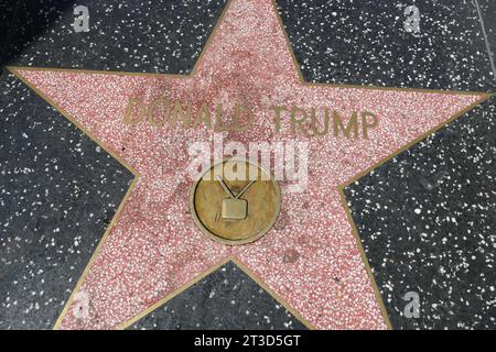 Hollywood, California, USA 17 ottobre 2023 Donald Trump Hollywood Walk of Fame Star il 17 ottobre 2023 a Hollywood, California, USA. Foto di Barry King/Alamy Stock Photo Foto Stock
