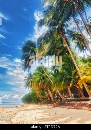 Bellissima spiaggia deserta circondata da palme di un'isola tropicale Foto Stock
