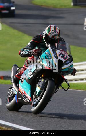 Peter Hickman - FHO Racing BMW Motorrad - in sella alla BMW 60 nelle 2023 Superbike britanniche a Brands Hatch nell'ottobre 2023 Foto Stock