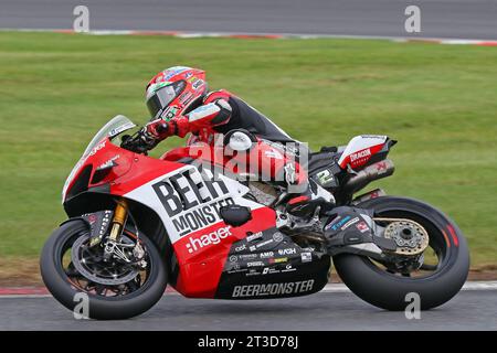 Glenn Irwin - BeerMonster Ducati - in sella alla Ducati 2 nelle 2023 British Superbike a Brands Hatch nell'ottobre 2023 Foto Stock