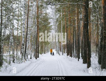 Un padre porta suo figlio su una slitta lungo un sentiero innevato in una foresta invernale Foto Stock