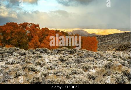 Area ricreativa Hartman Rocks. 14 ottobre 2023. La luce dell'alba autunnale illumina i primi colori della stagione nevosa e autunnale sull'alto paesaggio desertico del Colorado, l'area ricreativa Hartman Rocks. Gunnison, Colorado (immagine di credito: © Larry Clouse/CSM/Cal Sport Media). Credito: csm/Alamy Live News Foto Stock