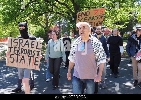 Australia, 25 ottobre 2023, circa 100 persone si sono riunite per protestare contro l'ambasciatore israeliano, Amir Maimon, al National Press Club of Australia - 25 ottobre 2023 Foto Stock