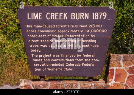 Segui le indicazioni per Lime Creek Burn, sulla US 550, la "Million Dollar Highway", in Colorado. Questa parte della US 550 è inclusa nella San Juan Skyway. Foto Stock