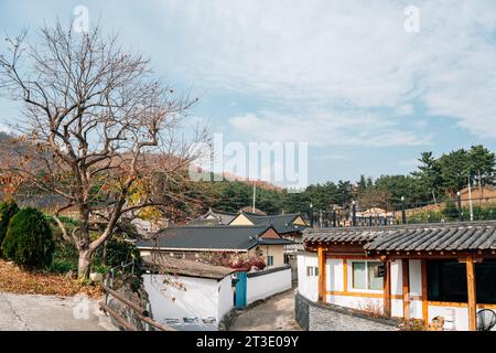 Città vecchia di Seoak-dong e antiche tombe reali in autunno a Gyeongju, Corea Foto Stock