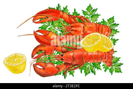 Illustrazione di pesce acquerello, aragosta rossa isolata su sfondo bianco. Illustrazione disegnata a mano in stile realistico. Foto Stock