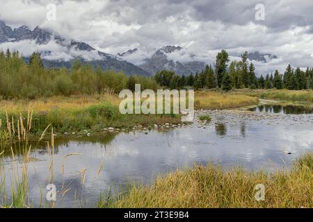 Una vista intima sulle rive del fiume Snake, vicino al fiume Snake, si affaccia sul Grand Teton National Park Foto Stock