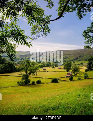 Prato di Muker, con i suoi fienili e muretti a secco, la firma di questi famosi prati di fieno ricchi di fiori a Swaledale, Regno Unito Foto Stock