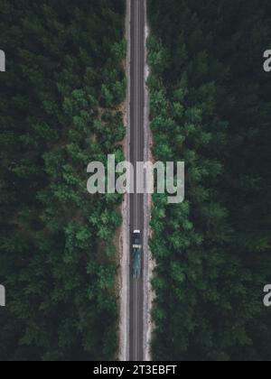 Vista aerea della locomotiva che viaggia sulla ferrovia attraverso la foresta in autunno, scattata da un drone con sfocatura del movimento Foto Stock