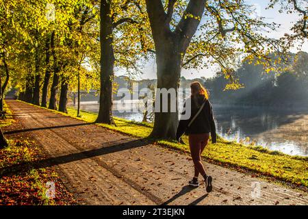 Preston, Lancashire. Meteo Regno Unito. 25 ottobre 2023. La giornata inizia con una bella luce ma nebbiosa, mentre il sole autunnale sorge sul fiume Ribble. I residenti locali fanno un leggero esercizio fisico lungo la passeggiata alberata lungo il fiume di Avenham Park. Credit MediaWorlImages/AlamyLiveNews Foto Stock