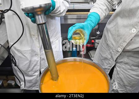 Hardinghen (Francia settentrionale): Produzione di saponi di carota biologici, a cura di so'belle, marchio di cosmetici. So'belle è un'azienda di cosmetici con sede nell'Hauts de Foto Stock