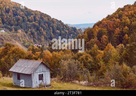 Kryvorivnia, Verkhovyna, 19 ottobre - sfondo rustico autunnale, suggestive case rustiche ucraine in stile gutsul. Foto Stock