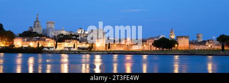 Francia, Vaucluse, Avignone, fiume Rodano con la Cattedrale di Doms risalente al XII secolo e il Palazzo Papale Patrimonio dell'Umanità dell'UNESCO Foto Stock