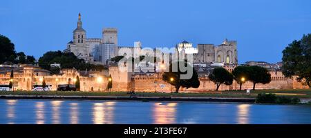 Francia, Vaucluse, Avignone, fiume Rodano con la Cattedrale di Doms risalente al XII secolo e il Palazzo Papale Patrimonio dell'Umanità dell'UNESCO Foto Stock