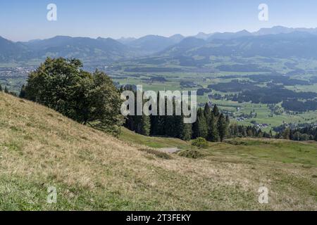 Paesaggio di montagna aereo con la verde valle del fiume Iller, fotografato con una luce estiva brillante da Offerschwanger Horn, Allgaeu, Baviera, Germania Foto Stock