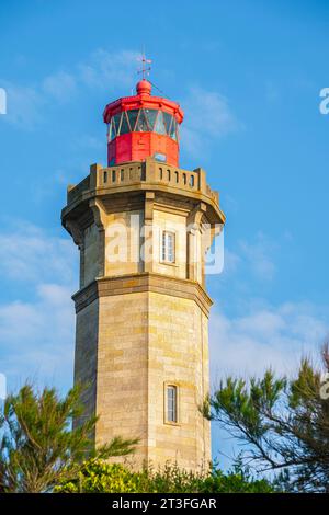 Francia, Charente Maritime, Ile de Re, Saint Clement des Baleines, faro delle Baleines completato nel 1854 Foto Stock