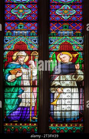 Francia, meurthe et Moselle, Nancy, cappella del convento dei Domenicani di Nancy costruita nel 1861 in stile neogotico dall'architetto Corrard des Essarts dopo che l'ordine dei domenicani fu restaurato in Francia da padre Henri Dominique Lacordaire nel 1843 in Rue Lacordaire, vetrate colorate che rappresentano sulla sinistra Saint Martin, sulla destra Saint Vincent Ferrier dal maestro vetraio Louis Bordieu di Tolosa nel 1867 Foto Stock