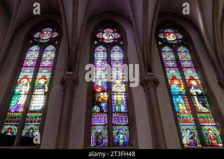 Francia, meurthe et Moselle, Nancy, cappella del convento dei Domenicani di Nancy costruita nel 1861 in stile neogotico dall'architetto Corrard des Essarts dopo che l'ordine dei domenicani fu restaurato in Francia da padre Henri Dominique Lacordaire nel 1843 in Rue Lacordaire, vetrate colorate che rappresentano da sinistra a destra Saint Martin, Saint Vincent Ferrier, Saint Boniface, Saint Hyacinthe, Saint Thomas et Saint Ludovic dal maestro vetraio Louis Bordieu di Tolosa nel 1867 Foto Stock