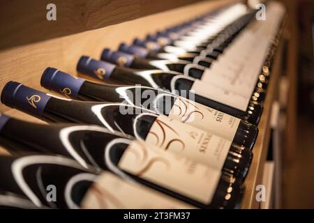 Francia, Gard, Chusclan, vigneti Cotes du Rhone, Maison Sinnae, azienda cooperativa Chusclan Foto Stock