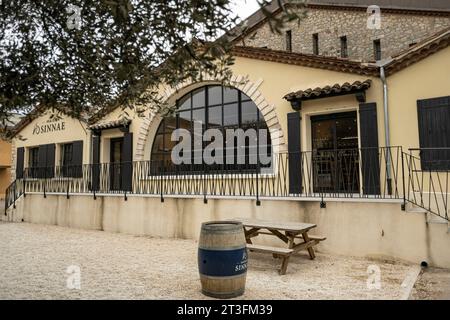 Francia, Gard, Chusclan, vigneti Cotes du Rhone, Maison Sinnae, azienda cooperativa Chusclan Foto Stock