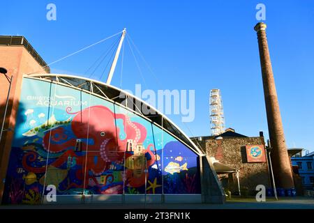 Regno Unito, Bristol, Acquario di Bristol, Street art Foto Stock
