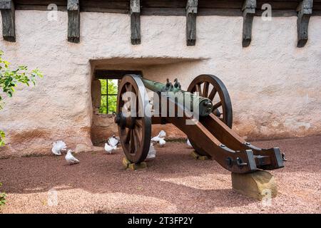 Eine mittelalterliche Kanone mit Weißen Tauben in der Wartburg *** Un cannone medievale con colombe bianche nel castello di Wartburg Foto Stock