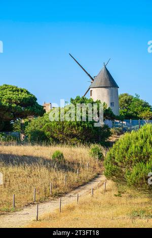 Francia, Vendee, isola di Noirmoutier, la Gueriniere, uno dei quattro mulini a vento di Court Foto Stock